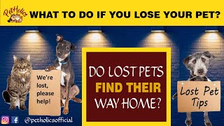 What To Do If You Lose Your Pet? | PetHolics by PetHolics 892 views 2 years ago 3 minutes, 43 seconds