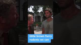 Caddy shack #billmurray #golf #animals #comedy #funny #scottish #comedyvideos #film #movie