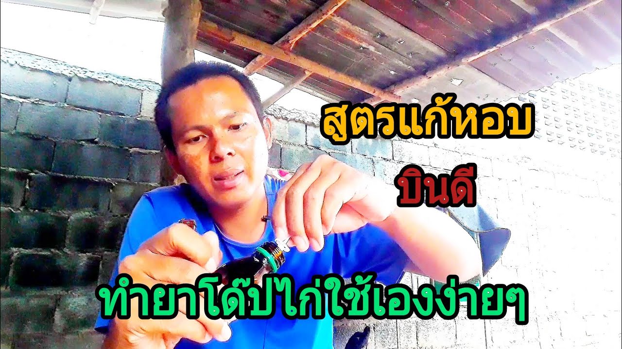 แนะนำ ทำยาโด๊ปไก่ ราคาประหยัด