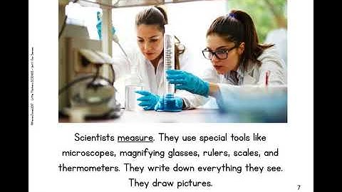 What Does a Scientist Do?