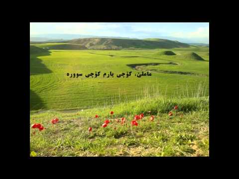 محەمەدی ماملێ کۆچی یارم Mamle Kochi Yarm