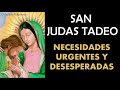 Oración milagrosa a San Judas Tadeo para necesidades urgentes y desesperadas