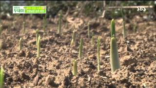 생방송 투데이 131017 다시보기 #1(9)