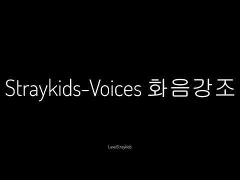 straykids-voices 화음강조