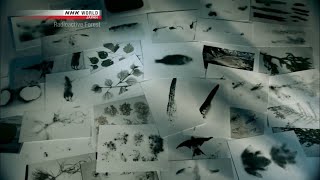 放射能に汚染された動植物 福島帰還困難区域 [ドキュメンタリー]
