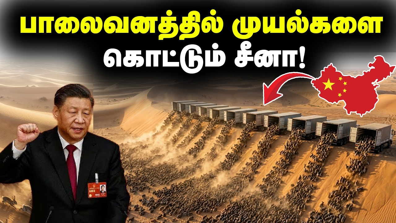 உலகையே மிரள வைத்த சம்பவம் 😱😱| சீனாவின் ரகசிய 'முயல்' திட்டம்! | Tamil unmaigal