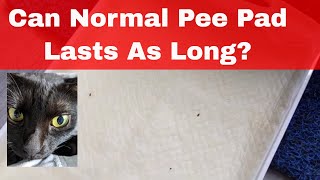 UniCharm Litter Box Review (最新の日本技術 Latest Technology From Japan) - How Long A Normal Pee Pad Last?