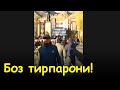 Боз тирпарони дар Хоруг - БА ПО ХЕЗЕД!