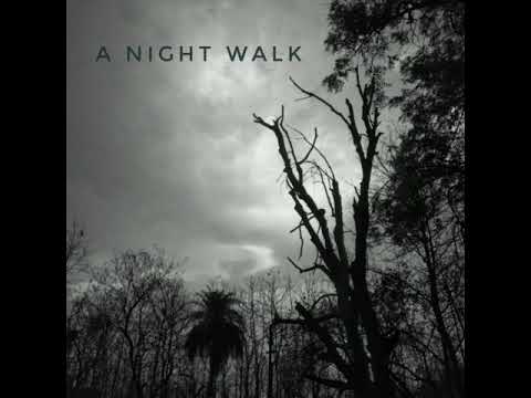 A Night Walk | Geophony| biophony| soundscapes relaxing music meditation