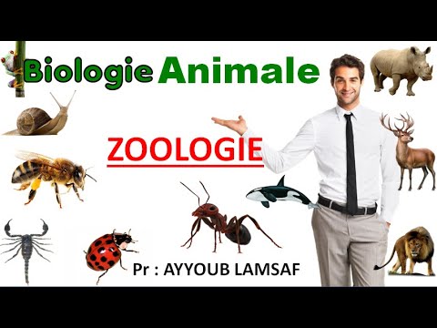 Vidéo: Quels sont les différents domaines de la zoologie ?