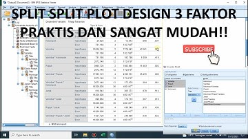 SPSS Split Plot Design 3 Factor and Duncan Test