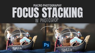 Macro Photography Focus Stacking