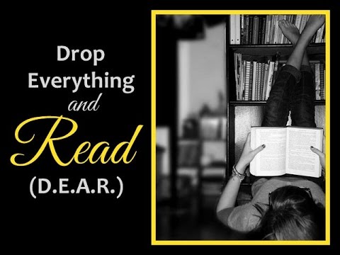 Image result for drop everything and read