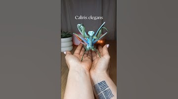 How to Make your Own Mantis from Pipe cleaner | DIY #diy #mantis #pipecleaner