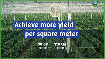 The Swing System and its benefits.