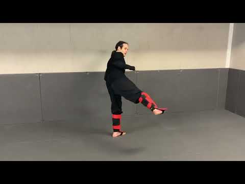 How to throw a basic hook kick and one drill to help.