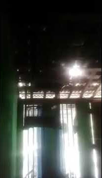 Pijantung,masteran super ampuh durasi panjang,cocok buat cucak ijo,murai batu dkk