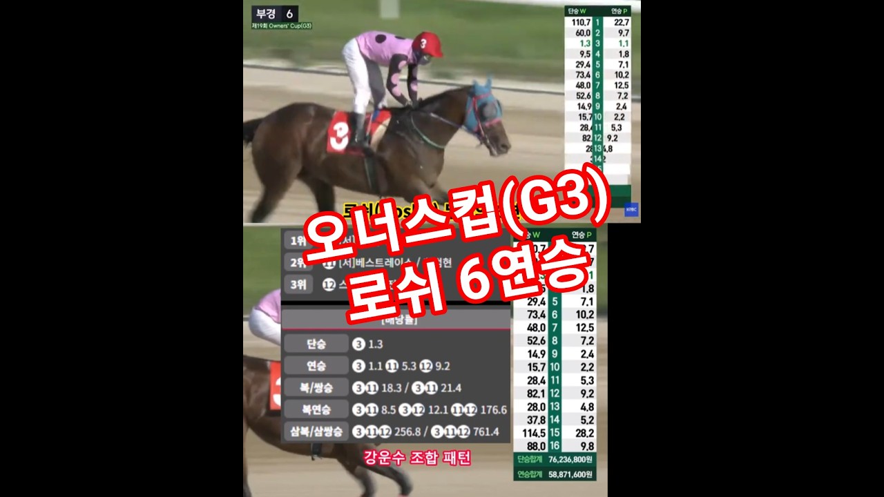 부산경마장 제19회 오너스컵(Owners’ Cup) 로쉬(Roshe) 무패의 6연승