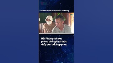 Hải Phòng tích cực phòng chống khai thác thủy sản bất hợp pháp