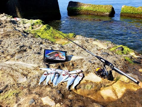 ლუფარი სპინინგით 2020წ. favorite impulse