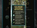 Эти вещи притянут богатство