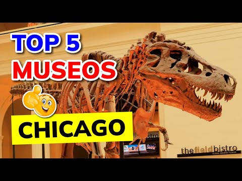 Video: Los 10 mejores museos de Chicago