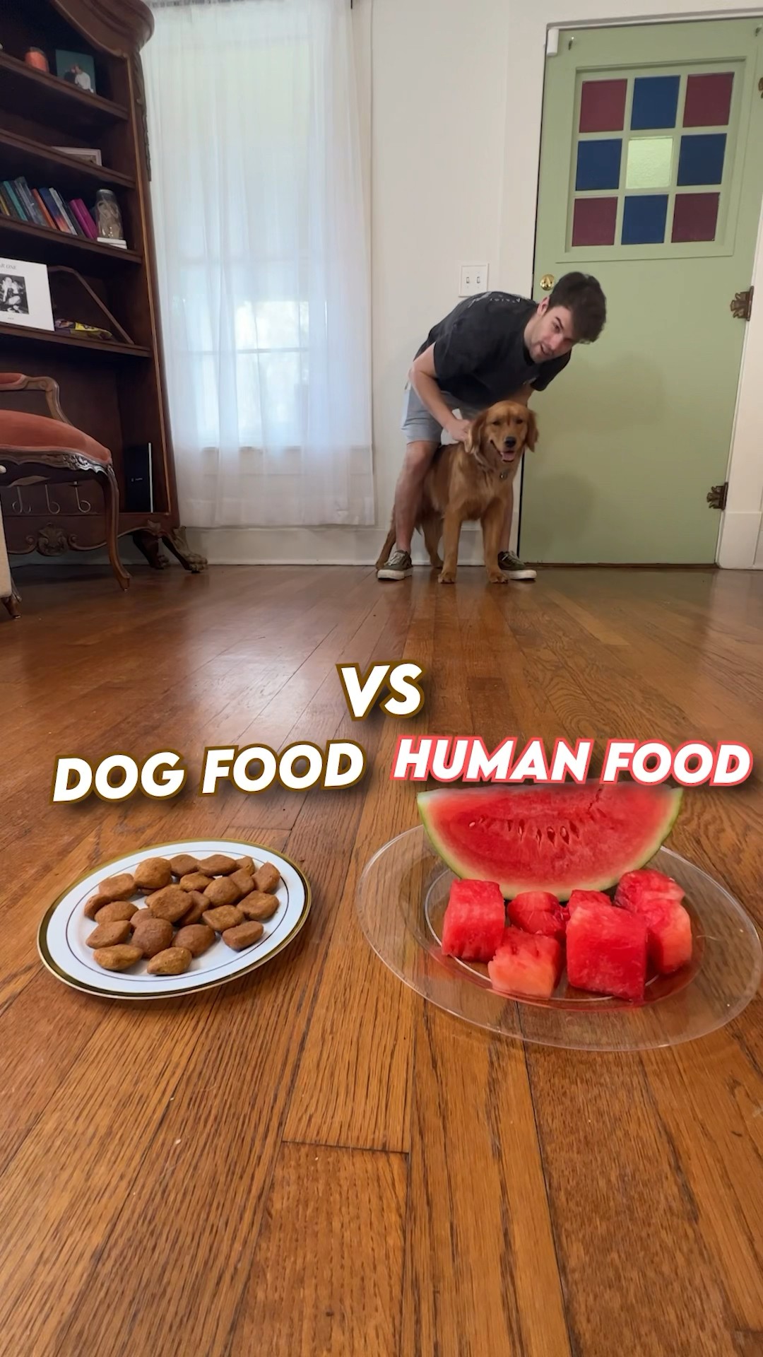 Human food Vs Dog Food