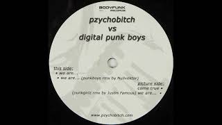 Pzychobitch - We Are (Punkgirlz Rmx)