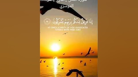 وقال الله لا تتخذوا ألهين اثنين":سورة نحل♡: القارىء ياسر الدوسري🤍تلاوة خاشعة
