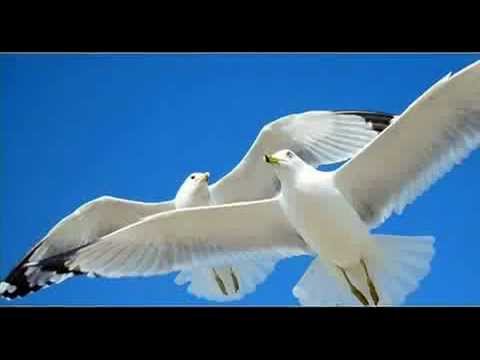 Hamimdel Amar Ezzahi Ahouah Ahouah Ya Hmama