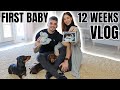 OUR FIRST BABY | 12 Week Pregnancy VLOG