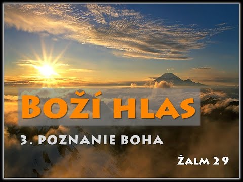 3 Ž 29