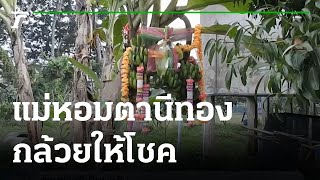 แม่หอมตานีทอง กล้วย2ยอด ให้โชค | 15-11-64 | ข่าวเช้าหัวเขียว