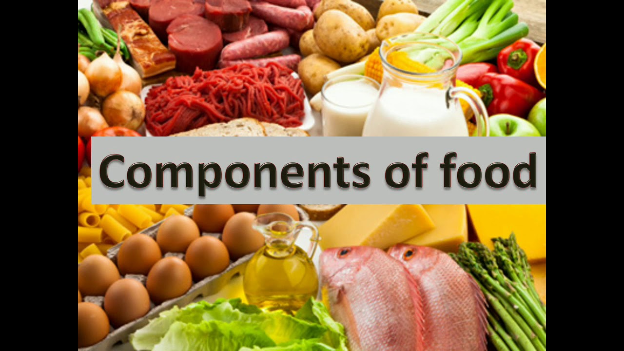 case study components of food class 6