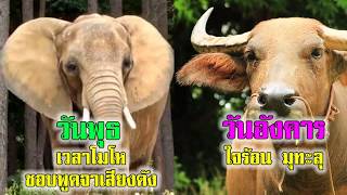 สัญลักษณ์ประจำวันเกิด ทั้ง 7วัน