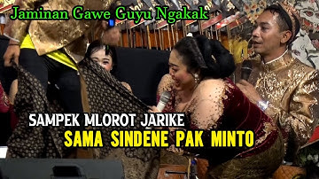 Terbaru Jo Klitik - Jo Klutuk Bersama Ki Minto Darsono Oktober 2025