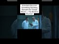 Scientists Discover Something Shocking Beneath the Temple Mount The...