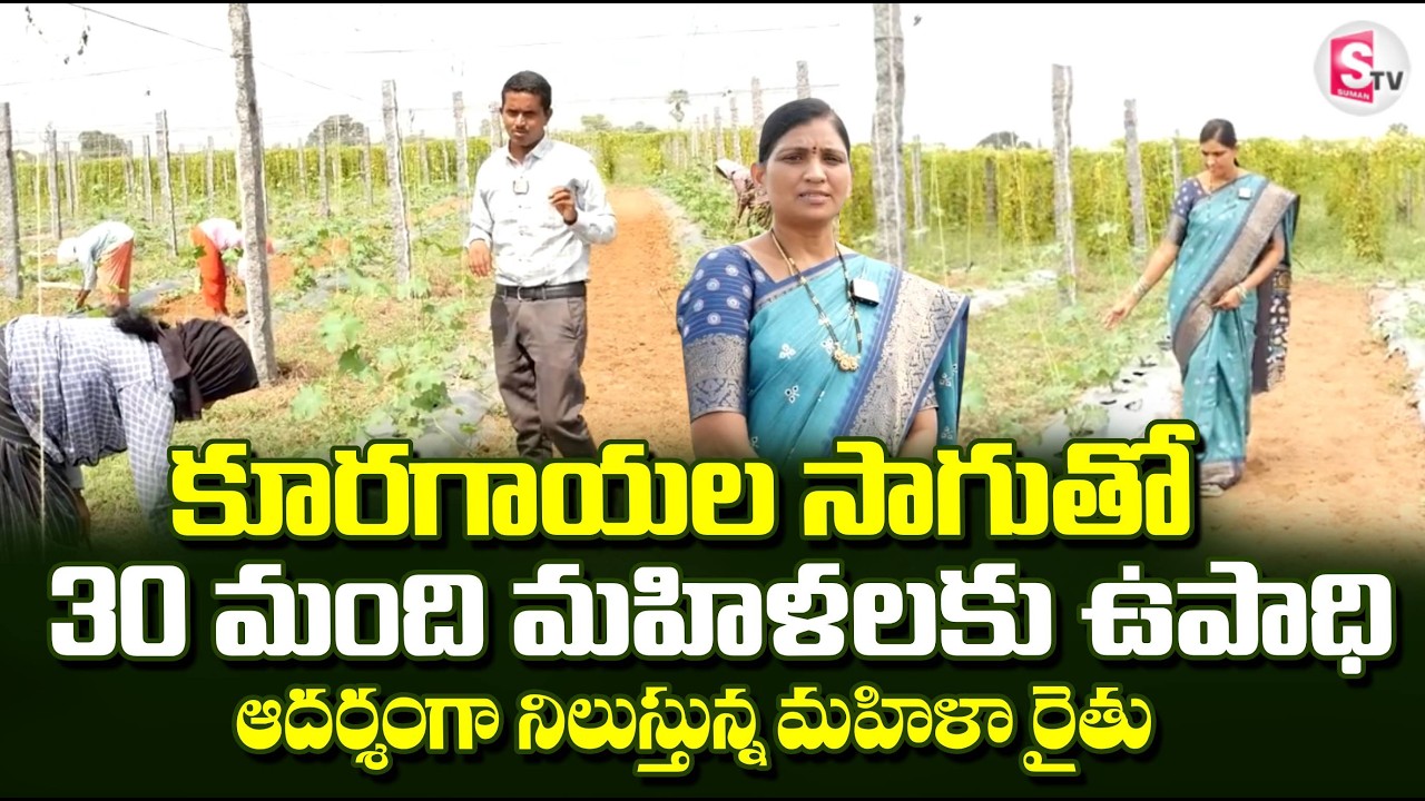 కూరగాయలు సాగుతో 30 మంది మహిళలకు ఉపాధి | Women Farmer Success Story | Vegetable Farming