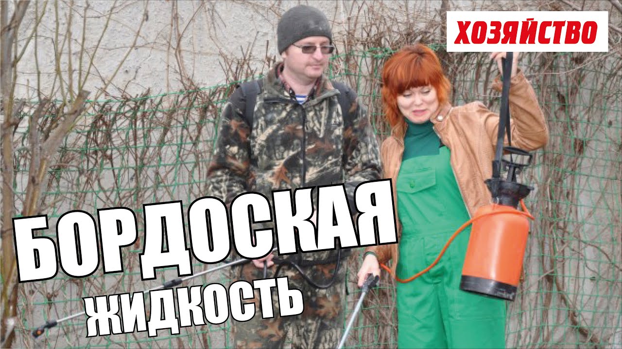 Как правильно сделать бордоскую жидкость - YouTube