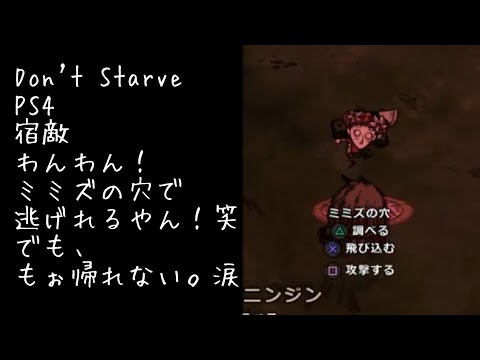 ドント スターブ 魔法 ドント スターブ 魔法