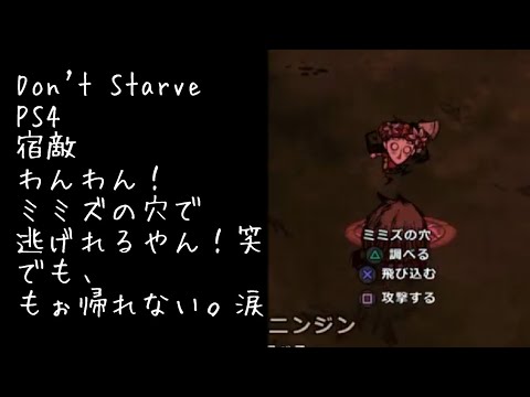 ドント スターブ 魔法