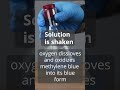 Blue Bottle #oxidationandreduction #chemistry #stoichiometry