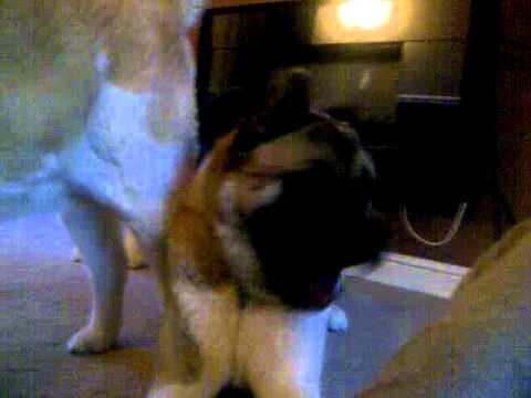 VID-20110901-00015
