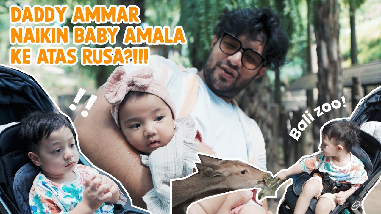 Jelajahi Bali Zoo, Mommy Irish Bella Marah Saat Baby Amala Dinaikkan ke Atas Rusa oleh Daddy Ammar Zoni!