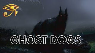 Ghost Dogs | Barghest, Black Shuck, & More!