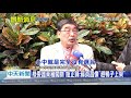 20201225中天新聞　只聽總統話...　施正鋒：綠委應改稱「黨意代表」