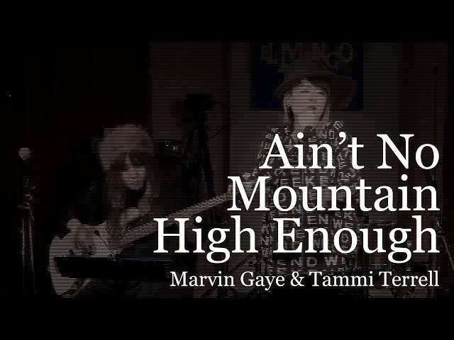 Ain't no Mountain High Enough / Marvin Gaye & Tammi Terrell Bass vocal duo cover