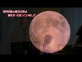 『満月の夕』(歌詞付き) 阪神淡路大震災 演奏:妙見うさぎ 朗読:吉田正