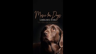 Calming Music for Dogs, Music for Dogs to Relax, Deep Separation Anxiety Music for Dogs