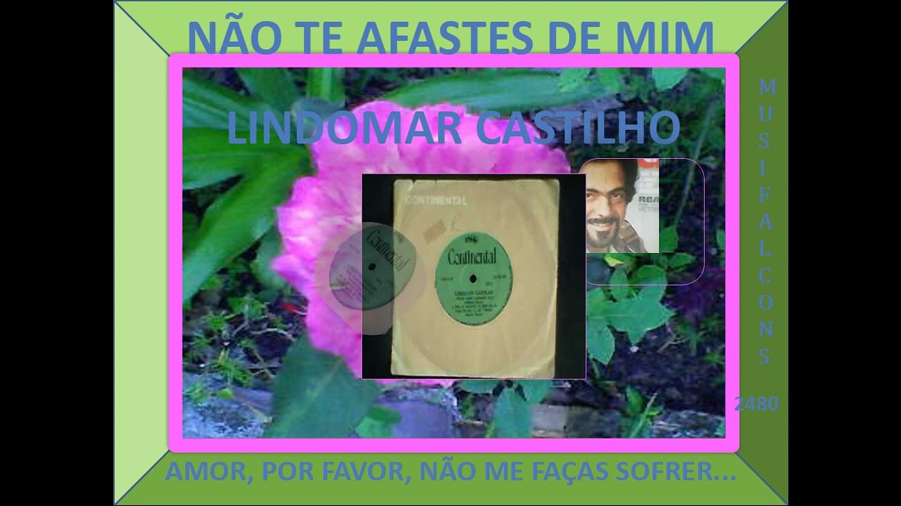 MUSIFALCONS 2480 - NÃO TE AFASTES DE MIM - LINDOMAR CASTILHO